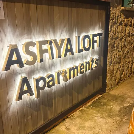 Asfiya Loft 4*